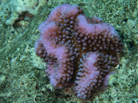 img47